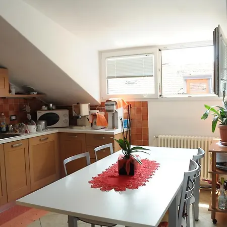 Apartment Linden